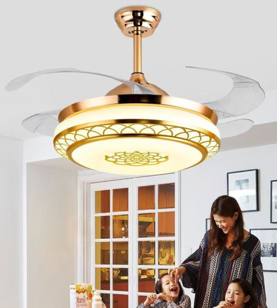 BRASSEUR LUMINEUX LED